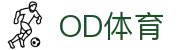OD体育 - 欧洲杯合作平台